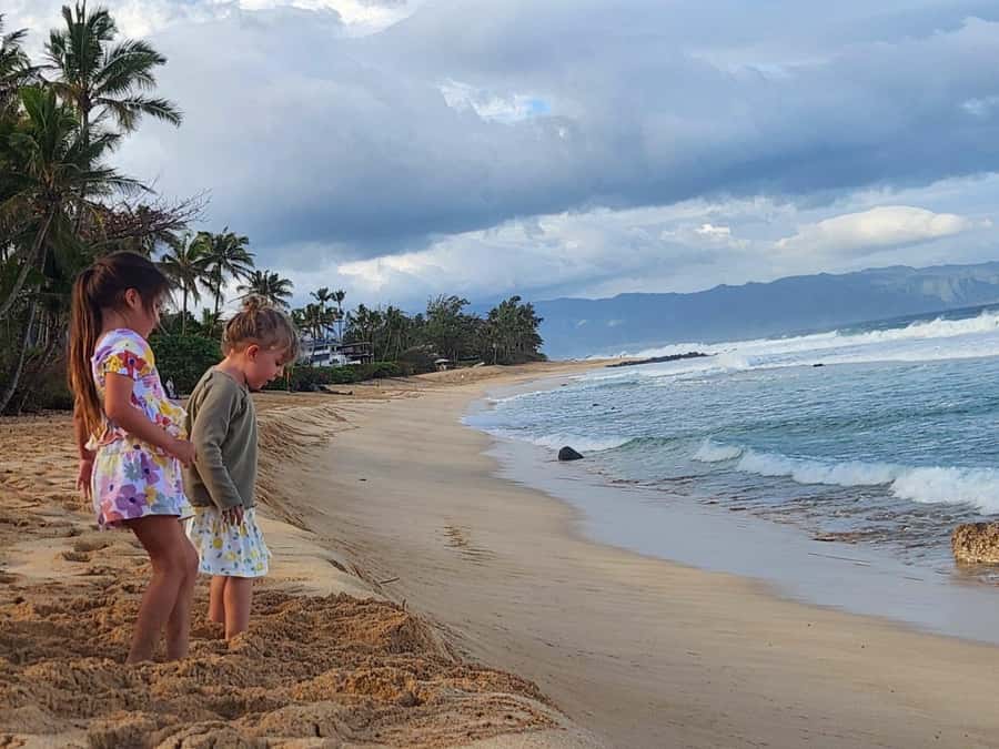Kevo's Beach Bus - Quick hits on Kevos Beach Bus