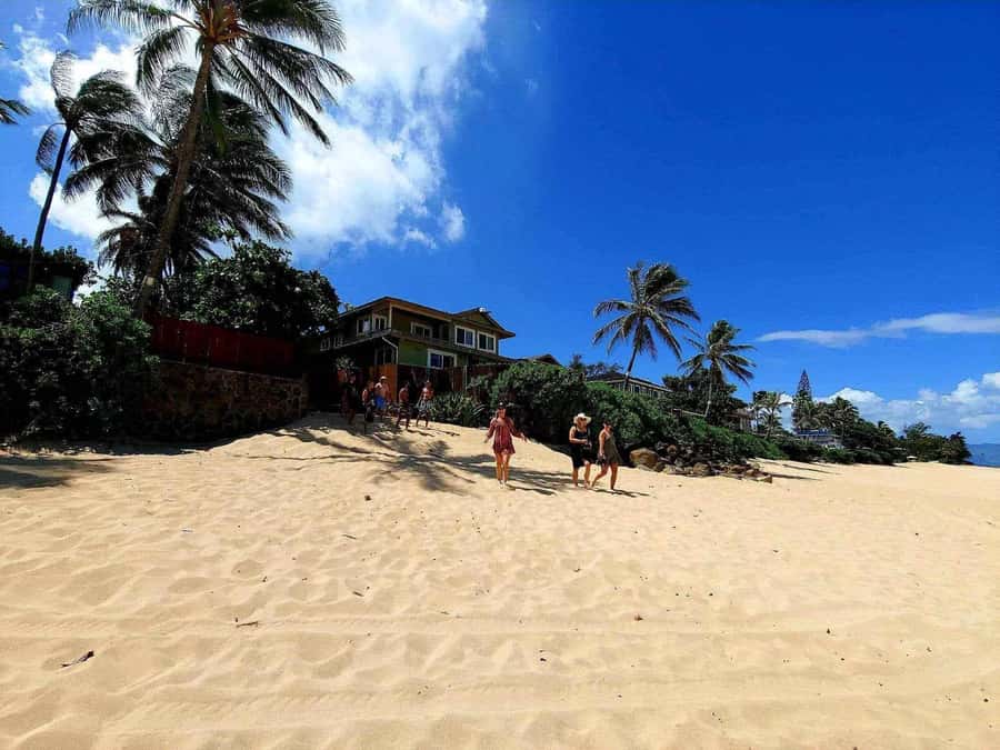 Kevo's Beach Bus - Turtle Beach snorkeling: one hour, gear included, and you’ll really be in the action