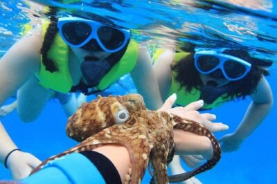 Ko Olina Catamaran Sail and Snorkel with Lunch - From Ko Olina Marina to Ko Olina Ocean Adventures: how the timing works