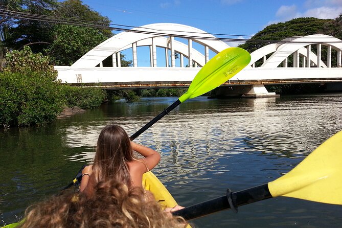 Ko Olina to North Shore Experience -Waimea Falls, Beaches & more - Shark’s Cove snorkeling: marine sanctuary time and sea turtle odds