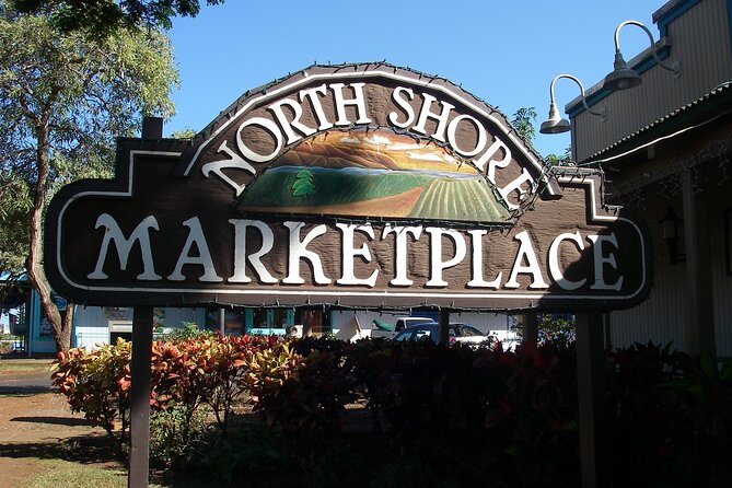 Ko Olina to North Shore Experience -Waimea Falls, Beaches & more - Waimea Waterfall: the plant-filled walk and the swim at the end