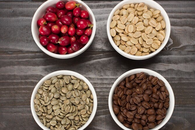 Kona Coffee Tasting: A Farm to Cup Experience - Getting Oriented at The Coffee LAB by Hala Tree Cafe (Kaaawa)