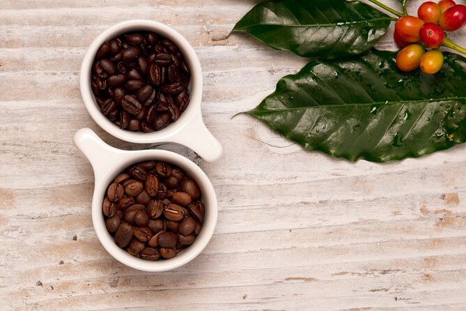 Kona Coffee Tasting: A Farm to Cup Experience - Price and Value: Is $10 a Good Deal for This Kona Experience?