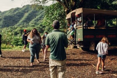 Kualoa Ranch: Jungle Expedition Tour - Swiss Pinzgauer vs. Off-Road Ford F-350: Why the Vehicle Choice Matters
