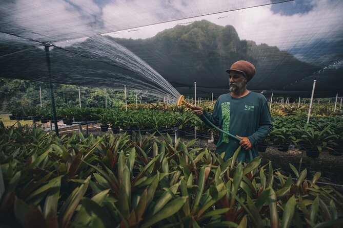 Kualoa Ranch - Kualoa Grown Tour - Timing: how long it takes and how to fit it into Oahu