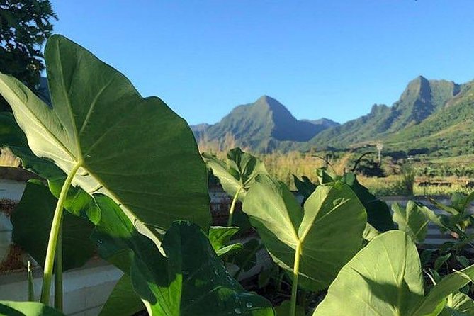 Kualoa Ranch - Kualoa Grown Tour - Guides, group size, and how to make the most of the ride