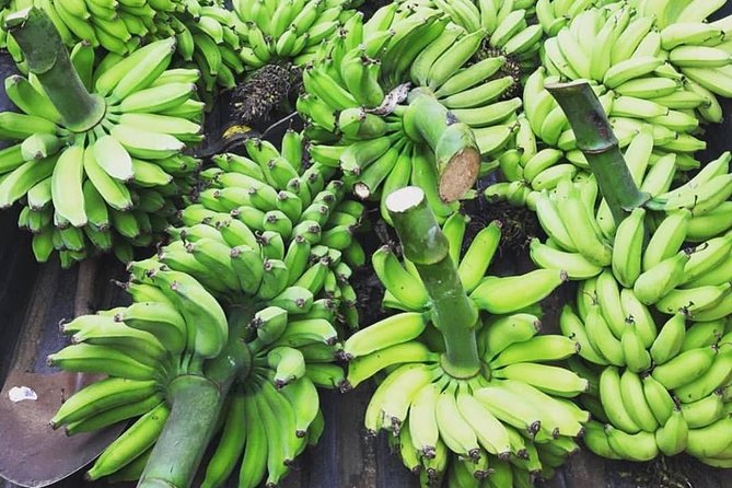 Kualoa Ranch - Kualoa Grown Tour - Practical stuff: lockers, ID, and what to expect at check-in