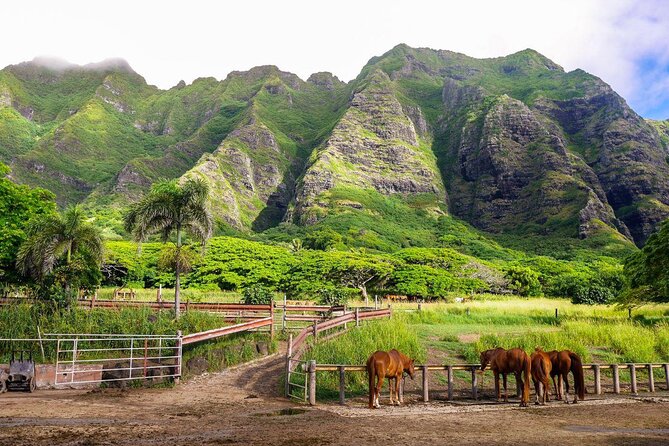 Kualoa Ranch: Novice E-Bike - Key things I’d plan around