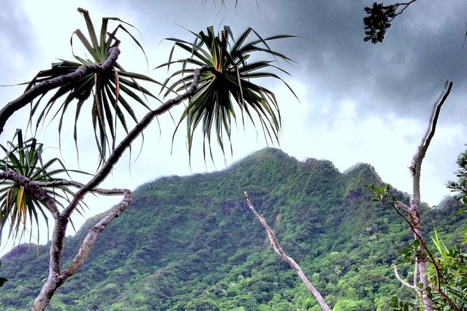 Kualoa Ranch: Novice E-Bike - Movie-location storytelling and ranch views: why the guide matters