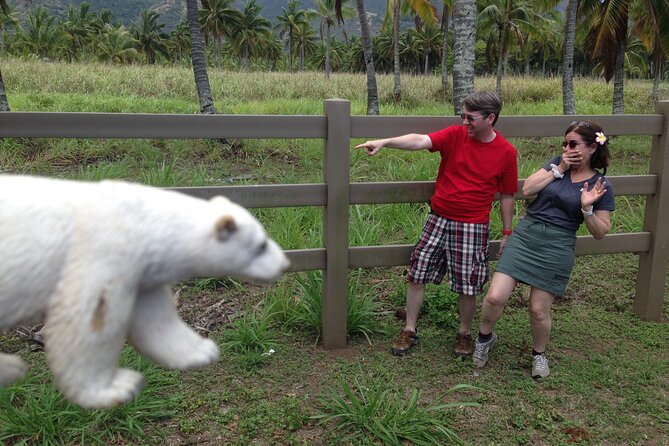 'Lost' and Movie Tour - North Shore: Best for Scenic Coasts and Fast Trip Energy