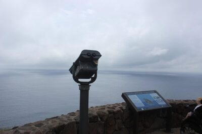 Makapu’u Lighthouse Trail and Shuttle Service - Whale Watching in Season: When the Coast Turns Into a Spotlight