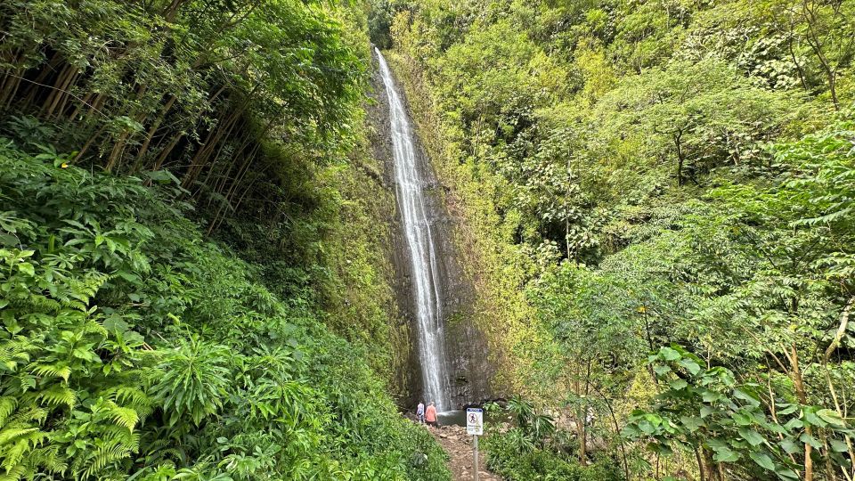 Manoa Falls eBike to Hike - Key Things I’d Note Before You Go