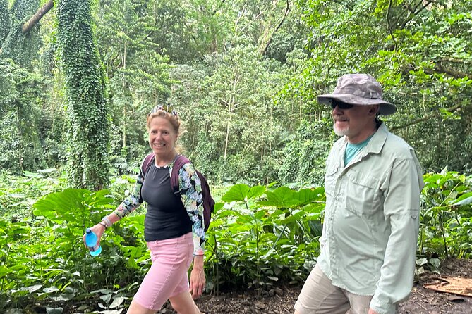Manoa Falls-Electric Bike to Hike Experience Local meal included - The Manoa Falls Trail: 0.8 miles of jungle hiking with a real climb