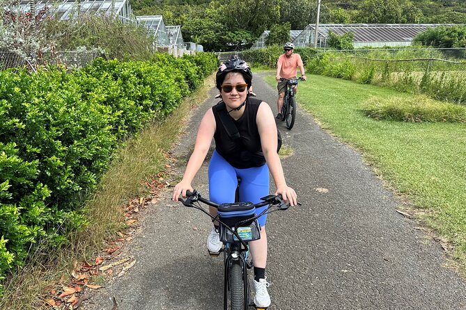 Manoa Falls-Electric Bike to Hike Experience Local meal included - Lunch and snacks: real value, not just a token