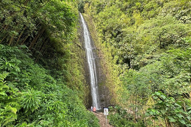 Manoa Falls-Electric Bike to Hike Experience Local meal included - Starting at Kuhio Beach: a smooth start that avoids the mess