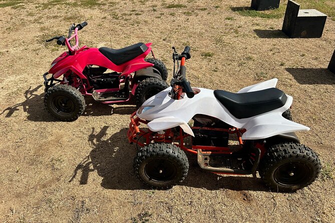 Mini ATVs and Farm Animal Experience - Key highlights worth knowing