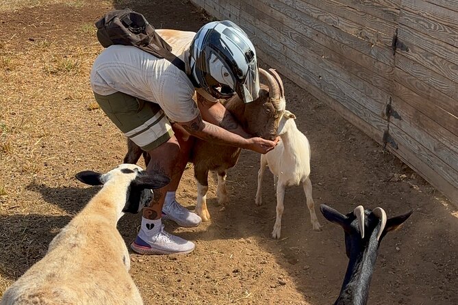 Mini ATVs and Farm Animal Experience - Price and Value: Is $103.66 Worth It?