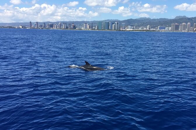 Moana’s VIP Waikiki Turtle Snorkeling Experience on Nalu - Diamond Head from the sea: scenic cruising without the hassle
