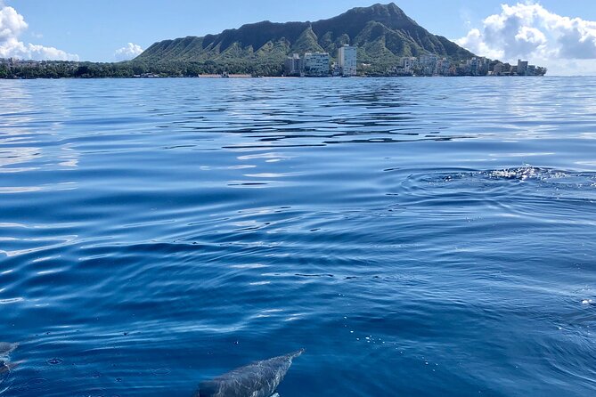 Moana’s Waikīkī Whale Watching Exploration - The crew and the Hawaiian touch that makes waiting feel better