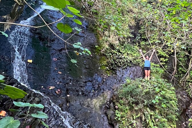 Nature Hike to Waterfall - What you’re paying for: a 4-hour mix that adds up