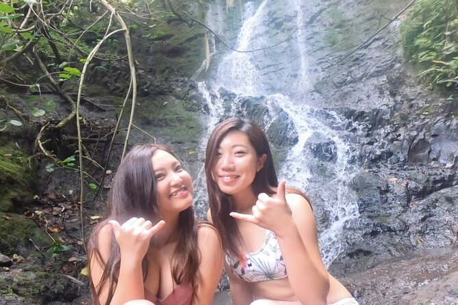 Nature Hike to Waterfall - Likeke Falls: easy-to-moderate hike under the canopy