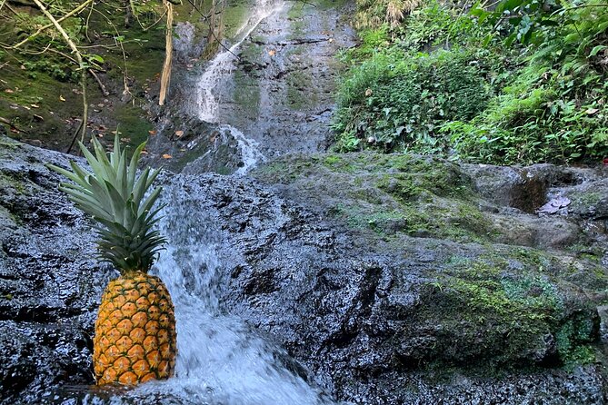 Nature Hike to Waterfall - Packing and comfort: what makes the day easier