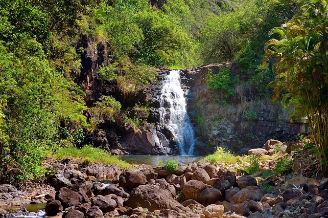 Next Level Oahu Circle Island Tour Snorkel w/Turtles and Byodo-In - Key things that make this Oahu tour worth considering