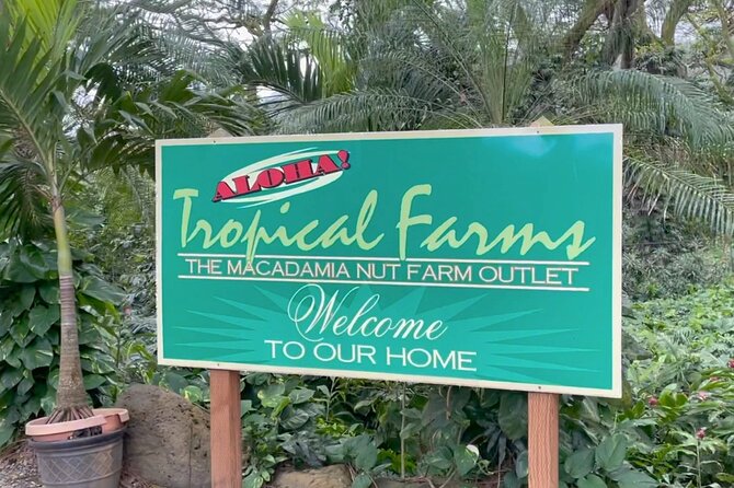 Next Level Oahu Circle Island Tour Snorkel w/Turtles and Byodo-In - Waimea Valley Botanical Garden and the waterfall walk