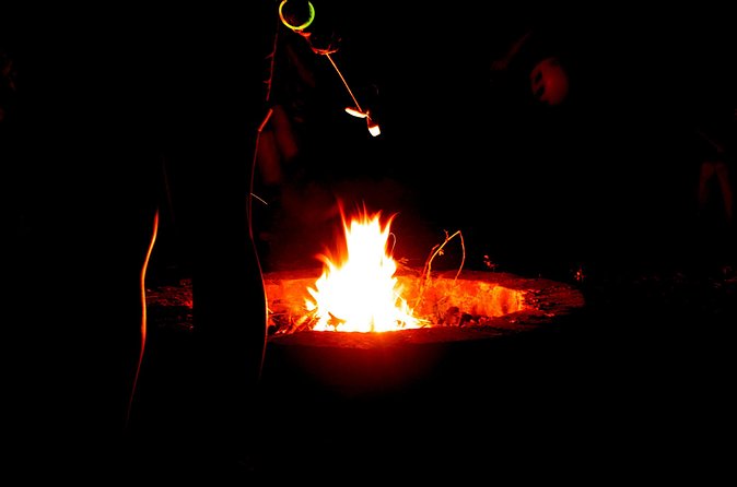 Night Zipline: 3 Zipline Adrenaline Adventure - Coral Crater Adventure Park: Six Ziplines and the Stair Workout