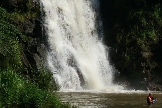 North Shore day,Waterfalls and Turtles Tour - Price and what you’re really paying for at $150