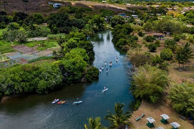 North Shore Farm: Anahulu River, Kayak-Sup, Turtles, Lunch & More - Getting on the Water: Kayak, Paddleboard, and Sea Turtle Territory