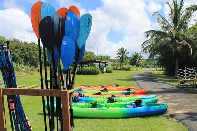 North Shore Farm: Anahulu River, Kayak-Sup, Turtles, Lunch & More - Value for $80: What’s Included, What to Pack, and What to Confirm