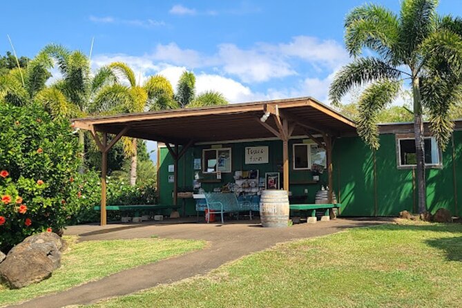 North Shore Farm: Anahulu River, Kayak-Sup, Turtles, Lunch & More - Who This North Shore Kayak and Farm Combo Fits Best