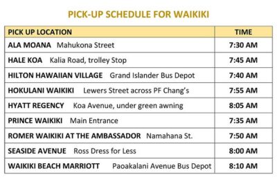 North Shore Haleiwa & Dole Plantation Tour - Deluxe motorcoach and Waikiki pickup: the logistics win