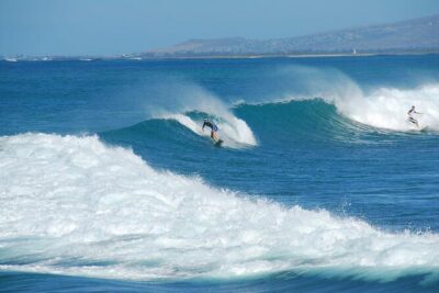 North Shore Oahu Snorkeling Tour - Key highlights you’ll care about