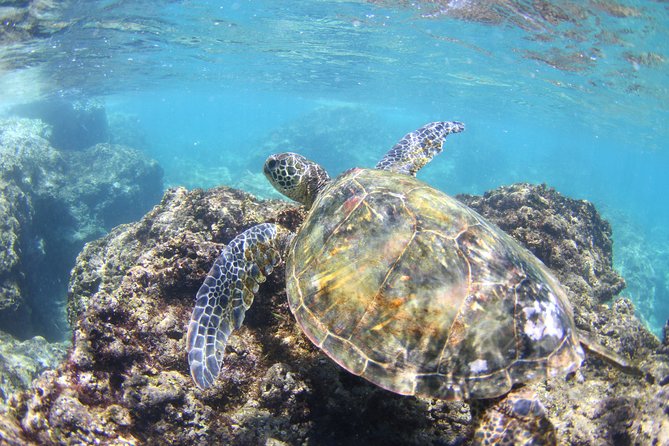 North Shore Stand-Up Paddleboard Lesson - What to bring (and what to skip) for a smooth, sun-safe paddle