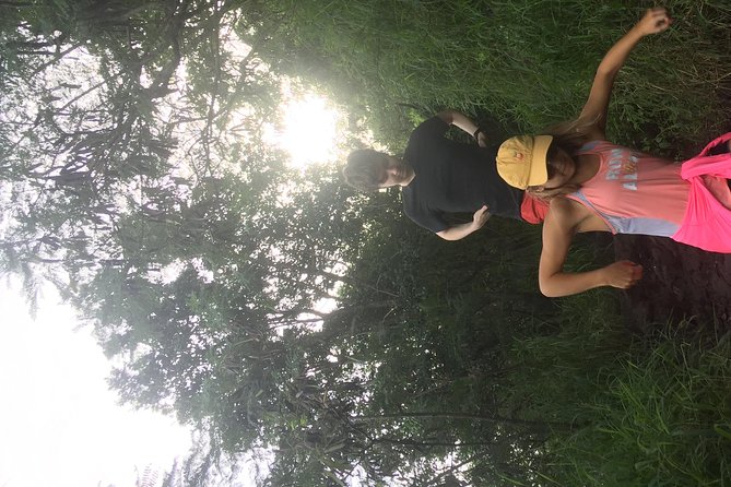 North Shore Tour Guide Hike - Who This Tour Fits Best (and Who Might Be Happier Elsewhere)