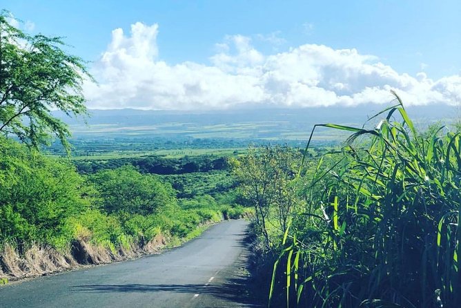 North Shore Tour Guide Hike - Beginner vs Intermediate: Pick for Views, Not Pride