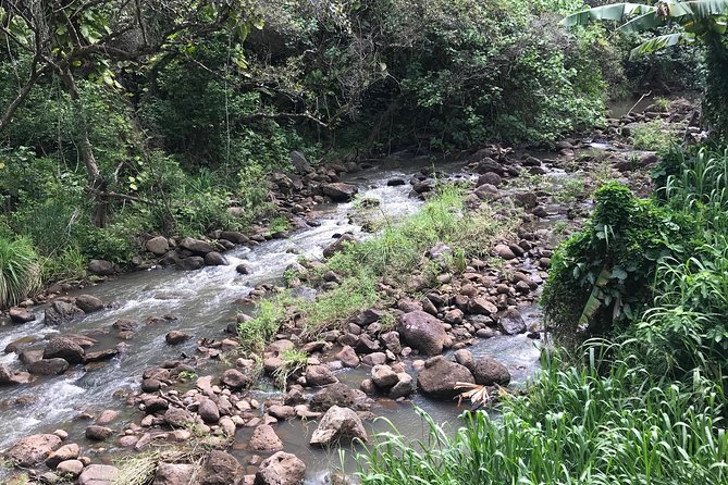 North Shore / Waimea, Falls Day & Swim with Turtles - Waimea Valley and Falls: The Main Event (and the One Variable)