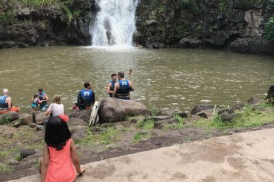 North Shore / Waimea, Falls Day & Swim with Turtles - Pickup That Keeps the Morning From Becoming a Project