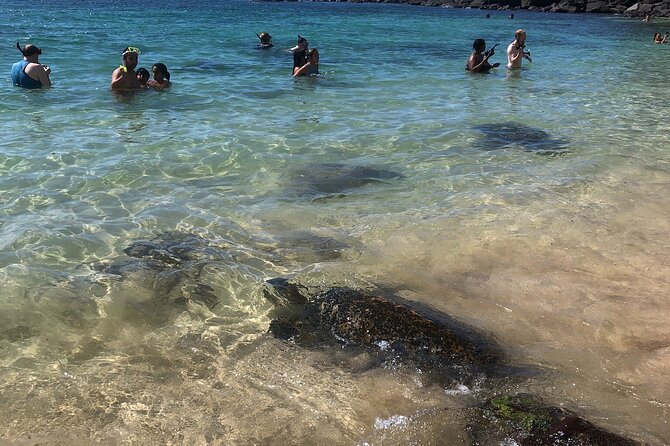North Shore / Waimea, Falls Day & Swim with Turtles - Waimea State Park Admission and Other Extra Costs
