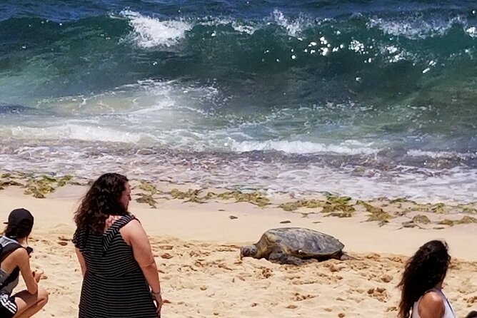 Northshore,Kailua,or Honolulu's Private Grand Circle Island Tour - Private Grand Circle Island Tour: how the 5-hour “circle” really works