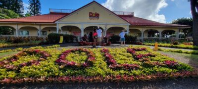 Oahu: 5 Hour Exclusive Car & Driver - ETOHI - Pickup and drop-off: how you avoid the cruise-day scramble