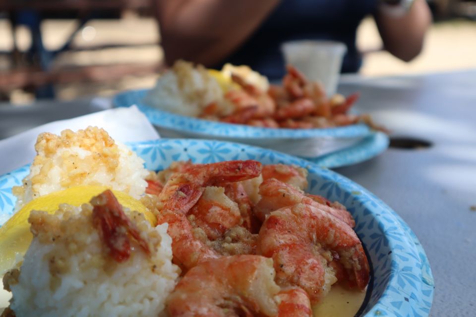 Oahu: Active Circle Island Tour - Who this tour fits best (and who should think twice)