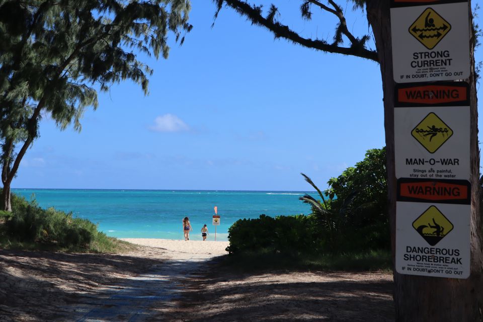 Oahu: Active Circle Island Tour - Sharks Cove snorkeling: the star stop and how to make it count