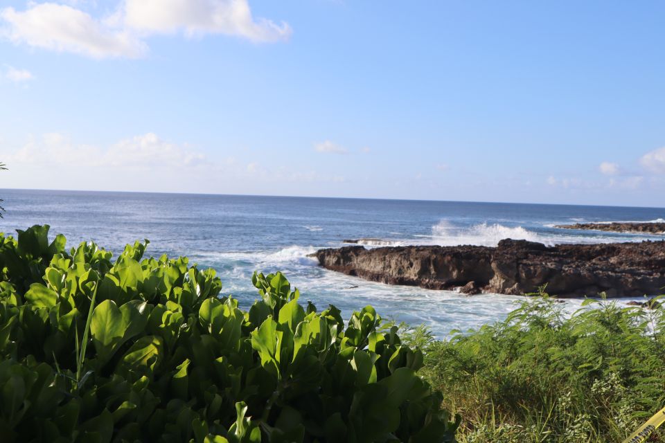 Oahu: Active Circle Island Tour - What Shane Ogitani adds: stories, weather moves, and smooth driving