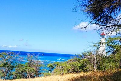 Oahu: All Day Circle Island Tour with Snorkeling - Pickup Windows: 7:15 to 7:45 a.m. Around Honolulu