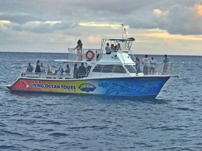 Oahu: BYOB or Cash Bar Waikiki Sunset Cruise - Getting to Kewalo Basin’s Pier B without stress