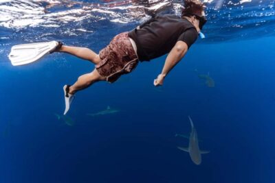Oahu: Cageless Shark Dive Adventure - Safety Briefing First: How the Crew Keeps This Experience Calm