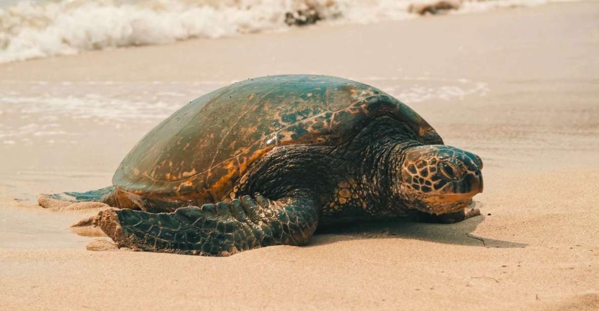 Oahu Circle Island Tour - Best Spots & Beaches - The Big Idea: 30+ Oahu Stops Without a Time Sink